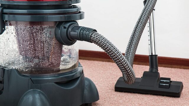 Buy a Carpet Cleaner, Rent One or Hire a Pro? The Cost Math