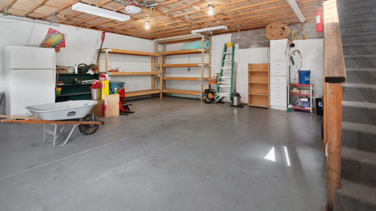 Does a Dehumidifier Help With Mold? What It Can and Can’t Do