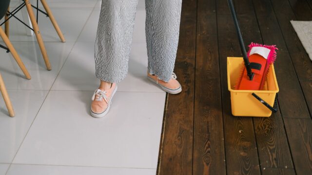 How to Choose a Steam Mop: Floor Compatibility, Features and Warranty Pitfalls