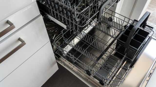 How to Clean a Dishwasher: Filter, Spray Arms, Door Seal and Smells