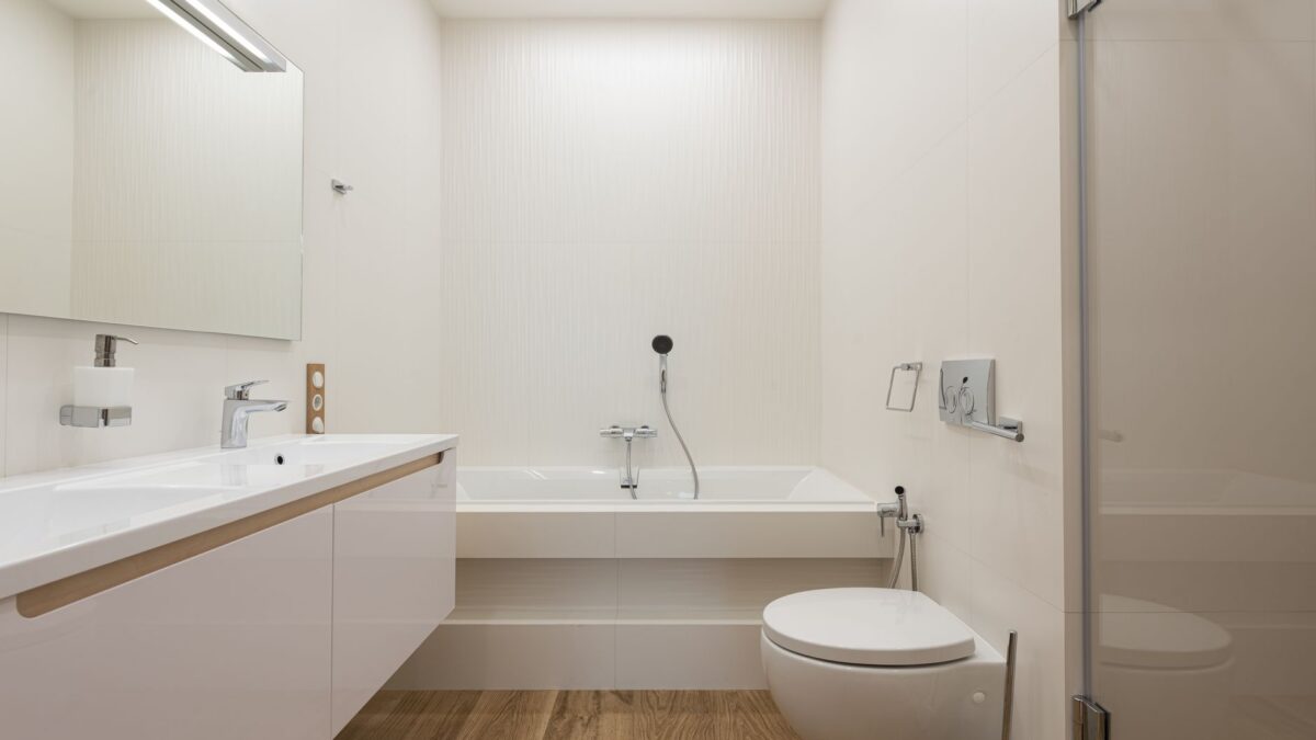 How to Clean a Toilet: Bowl, Rim, Seat Hinges and the Brush