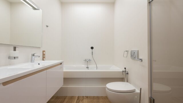 How to Clean a Toilet: Bowl, Rim, Seat Hinges and the Brush