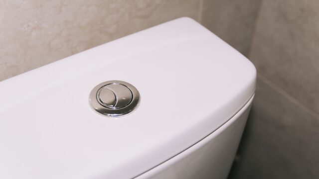 How to Clean a Toilet Tank: Mineral Buildup, Mold and the Flapper