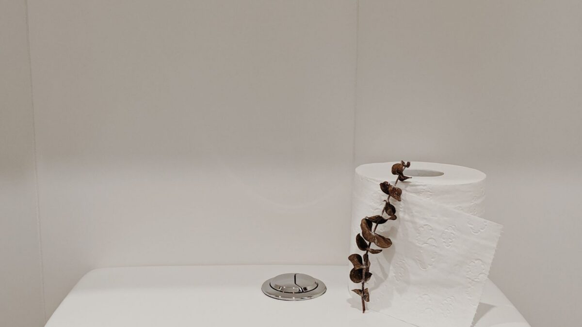How to Fix a Running Toilet: Flapper, Chain, Float and Fill Valve