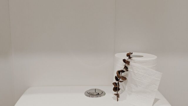 How to Fix a Running Toilet: Flapper, Chain, Float and Fill Valve