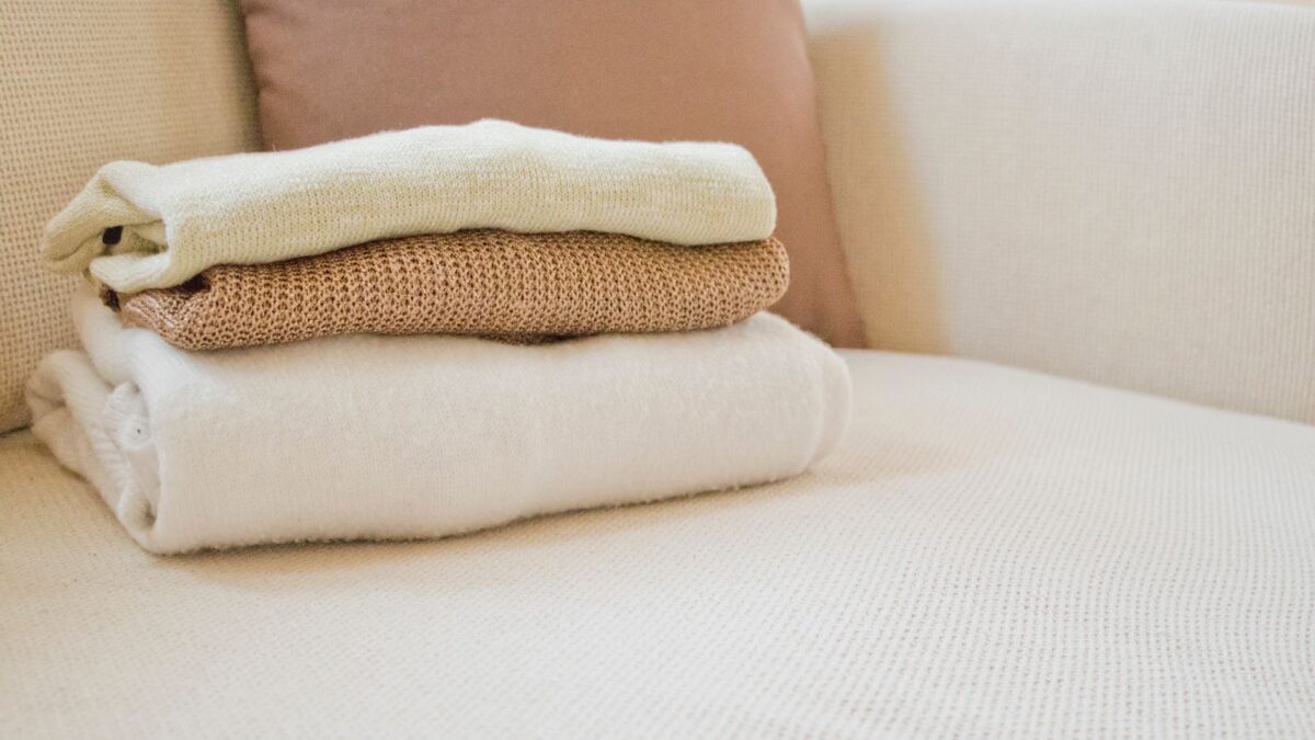 How to Get Rid of Clothes Moths: Clean, Wash or Freeze, Then Store Smart