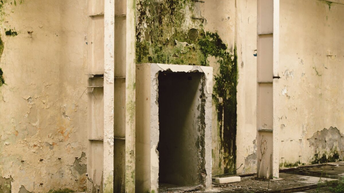 How to Get Rid of Mold on Walls (Painted, Drywall and Tile)