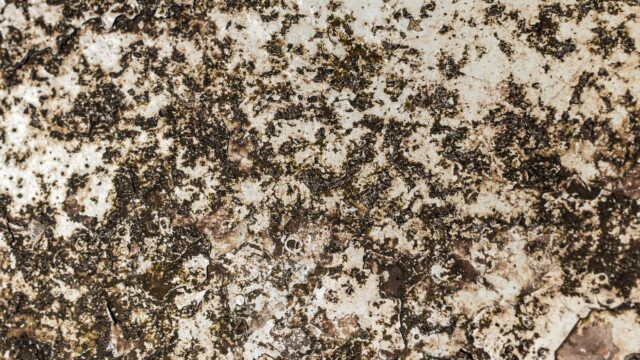 How to Remove Rust Stains From Fabric, Sinks, Tubs and Concrete