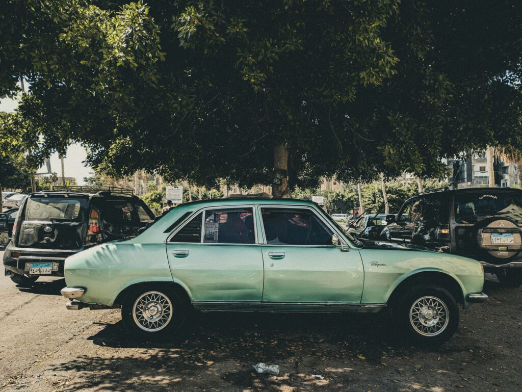 How to Remove Tree Sap From a Car (Plus Bird Droppings and Bugs)
