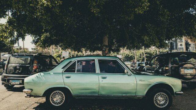 How to Remove Tree Sap From a Car (Plus Bird Droppings and Bugs)