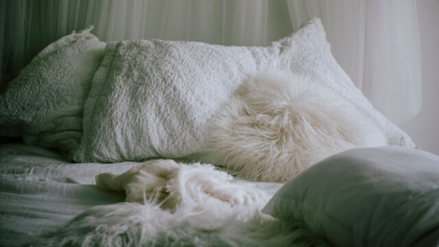 How to Wash a Down Comforter at Home or at the Laundromat